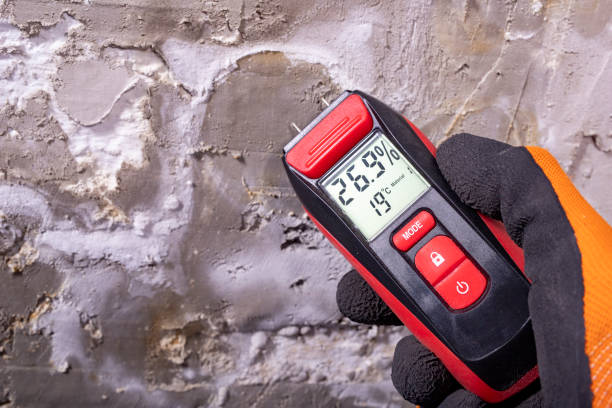  Farmers Loop, AK Mold Removal Pros