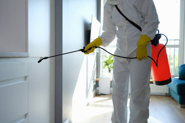 Best Bathroom Mold Remediation in Farmers Loop, AK