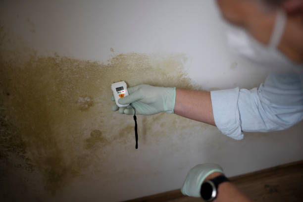 Best Mold Testing and Inspection Services in Farmers Loop, AK