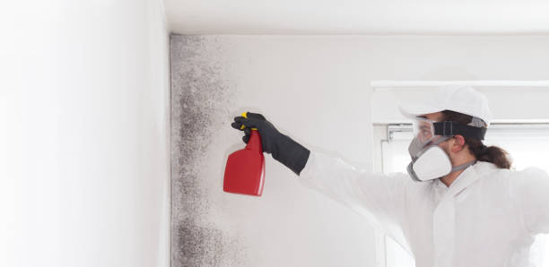 Best Preventive Mold Services in Farmers Loop, AK