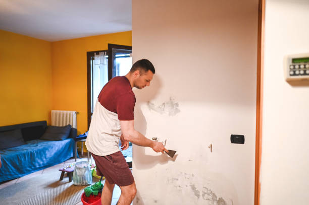 Best DIY Mold Remediation Support Services in Farmers Loop, AK