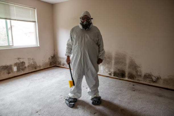 Best Mold Remediation for Specific Building Types in Farmers Loop, AK